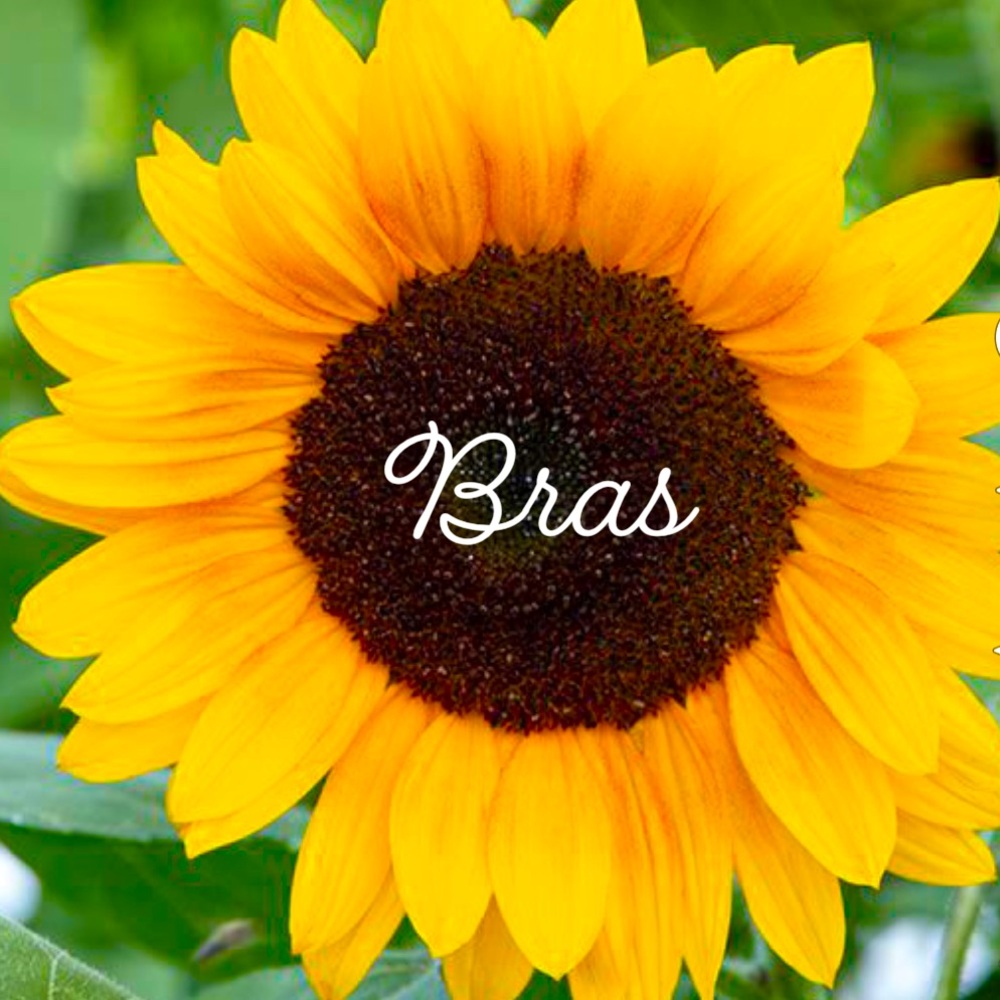 Bras